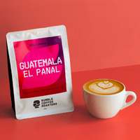 Guatemala El Panal Espresso - Rumble Coffee