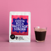 Costa Rica Hacienda Sonora Filter - Rumble Coffee