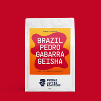 Brazil Pedro Gabarra Geisha Filter - Rumble Coffee