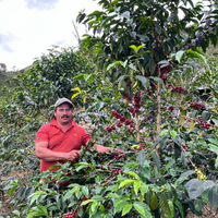 Colombia Favor Ninco Filter