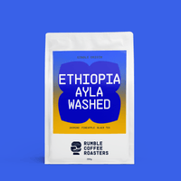 Ethiopia Ayla Washed Filter - Rumble Coffee