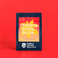 Ethiopia Shakiso Shoondhisa Filter - Rumble Coffee