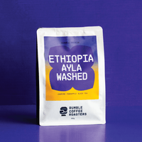 Ethiopia Ayla Washed Filter - Rumble Coffee