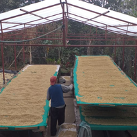 Peru Jorge Vergara Espresso - Rumble Coffee