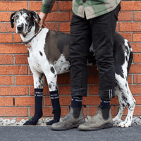 Rumble Coffee Roasters Socks (Free Gift!) - Rumble Coffee