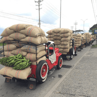 Colombia Sebastian Ramirez Espresso - Rumble Coffee