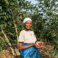 Rwanda Marie's Coffee Filter - Rumble Coffee