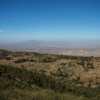 Kenya Kagumoini Espresso - Rumble Coffee