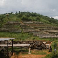 Burundi Ninga Espresso