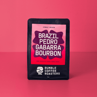 Brazil Pedro Gabarra Bourbon Filter - Rumble Coffee