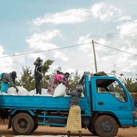 Rwanda Ruli Anaerobic Filter - Rumble Coffee