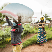 Rwanda Ruli Anaerobic Filter - Rumble Coffee