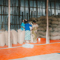 Ethiopia Tuma Tesso Espresso - Rumble Coffee