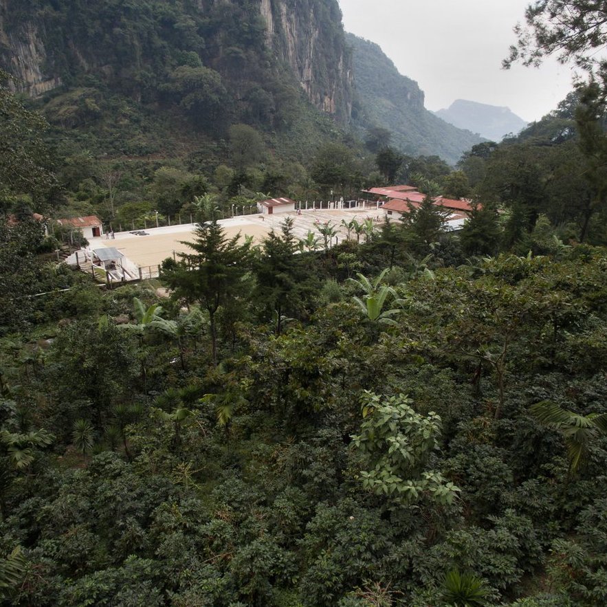 Guatemala La Danta Espresso - Rumble Coffee