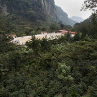 Guatemala La Danta Espresso - Rumble Coffee