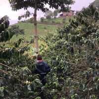 Colombia Sebastian Gomez Filter