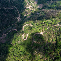 Bolivia Los Rodríguez Ethiosar Filter - Rumble Coffee