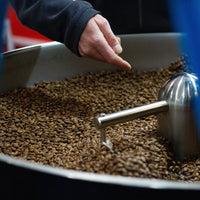 Guatemala La Guitarra Filter - Rumble Coffee