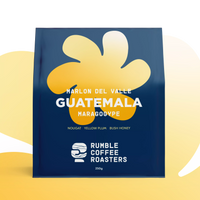 Marlon Del Valle Maragogype Espresso - Rumble Coffee