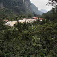 Guatemala La Guitarra Filter - Rumble Coffee