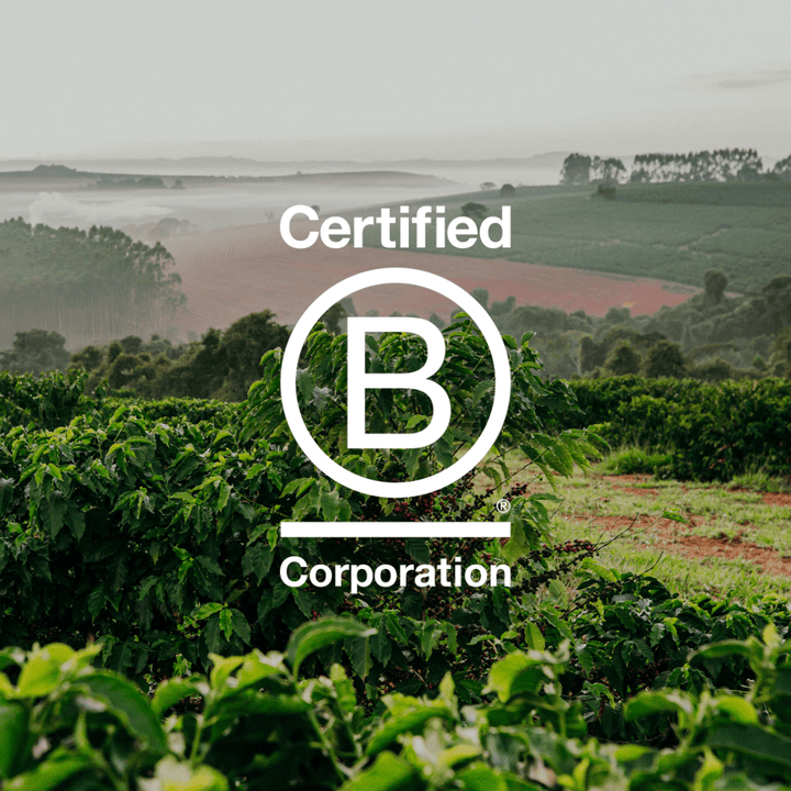 Why Rumble Coffee became a B-Corp - Rumble Coffee