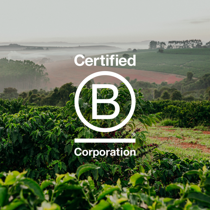 Why Rumble Coffee became a B-Corp