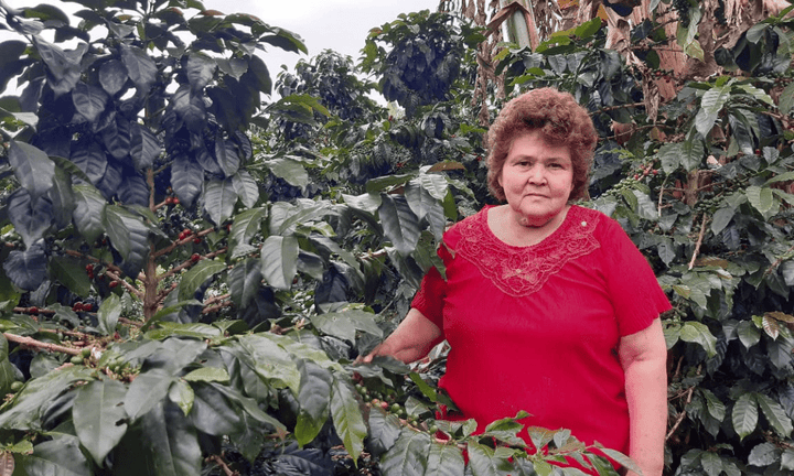 Colombia Blanca Rubys Lopez - Rumble Coffee