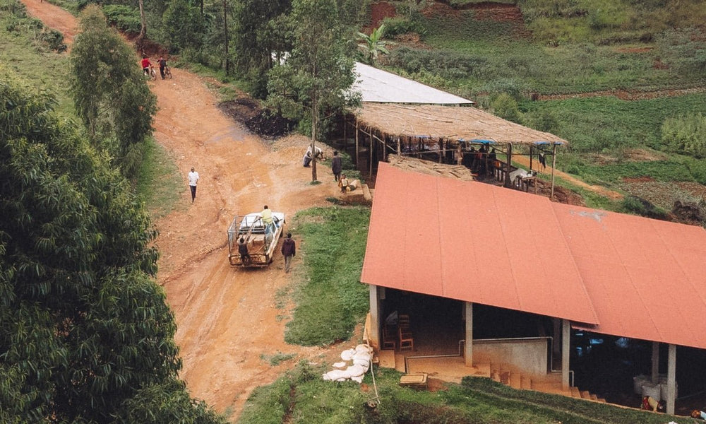 Burundi Bumba - Rumble Coffee