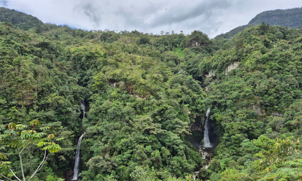 Colombia Javier Lopez Montaña - Transparency Report - Rumble Coffee