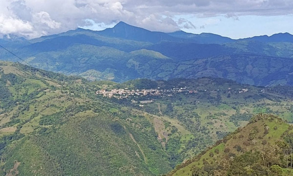 Colombia Luis Alfredo Bautista - Transparency Report - Rumble Coffee