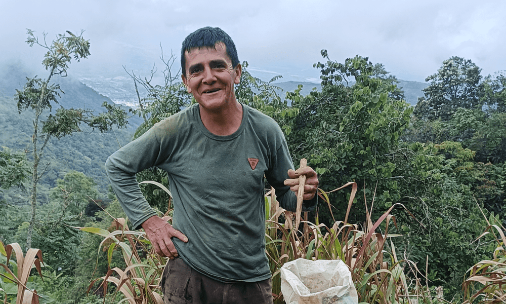 Peru Elias Sanchez - Rumble Coffee