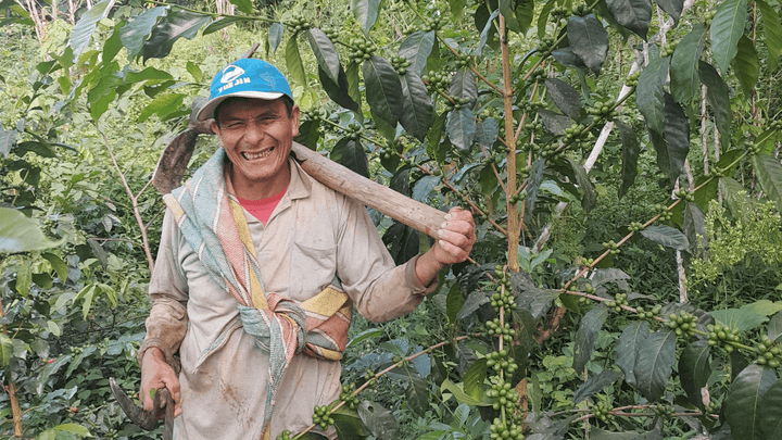 Peru Jorge Vergara - Rumble Coffee