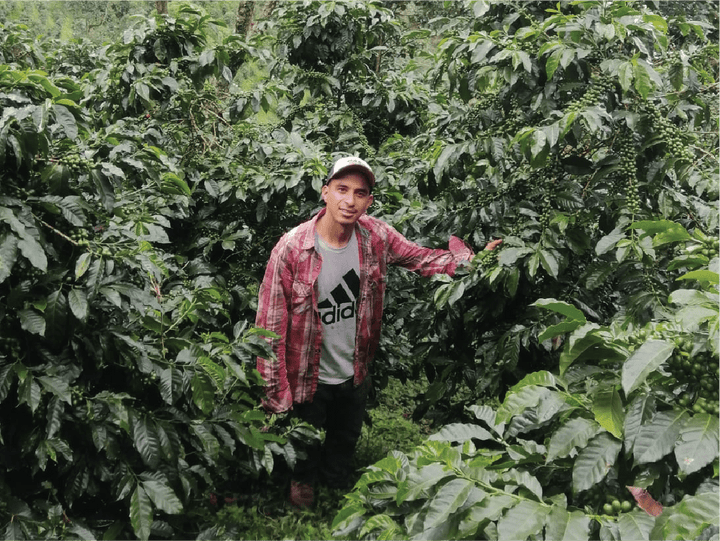 Guatemala Marlon El Valle - Rumble Coffee