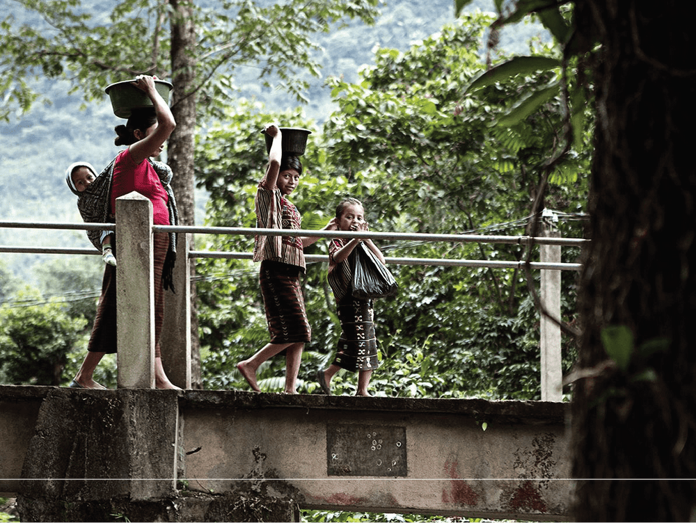 Guatemala La Danta - Rumble Coffee
