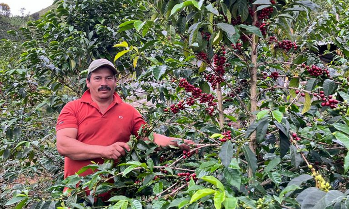 Colombia Favor Ninco