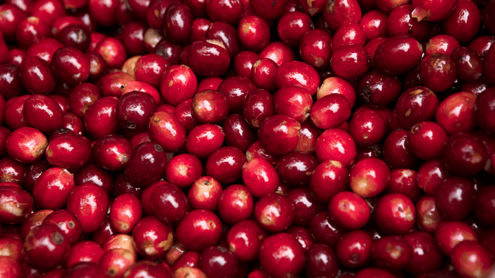 Guatemala Granada - Rumble Coffee