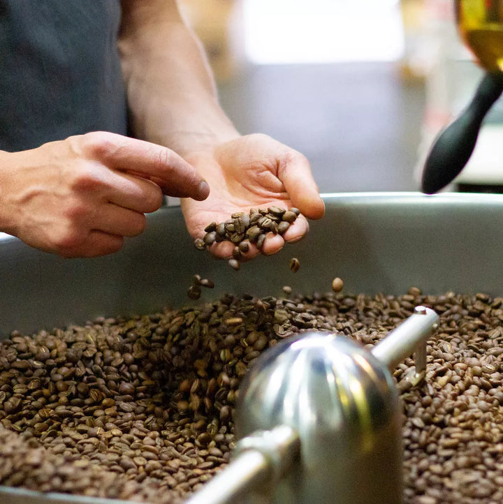 Best Coffee Roasters in Melbourne for 2025