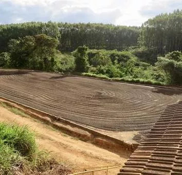 What is Single Origin Coffee?