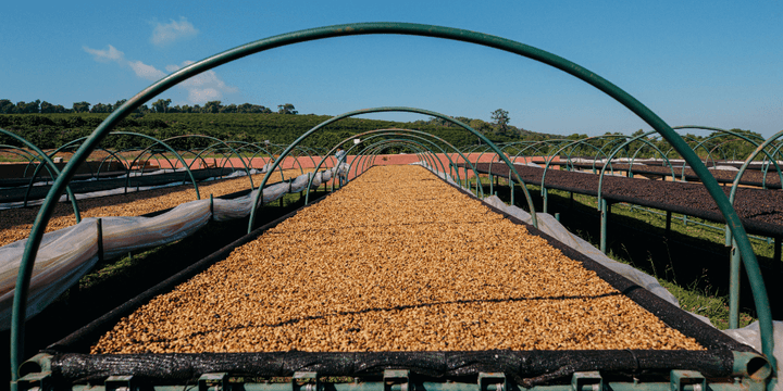 2023 Impact Report - Rumble Coffee