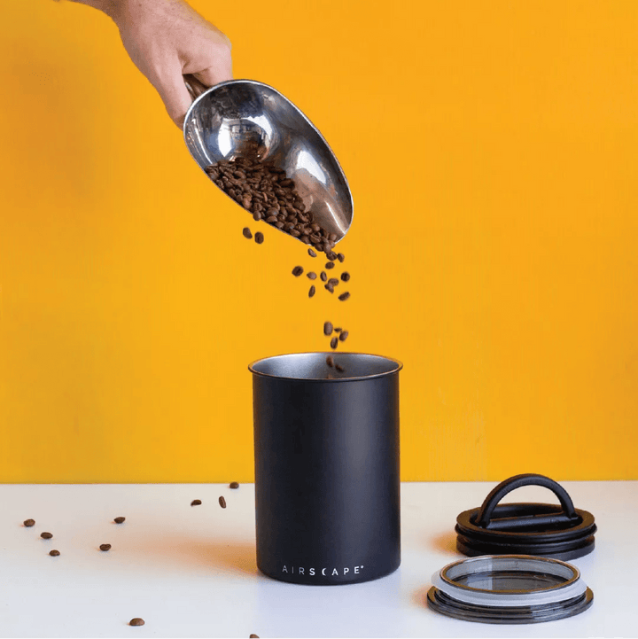 How should I store my coffee beans? - Rumble Coffee