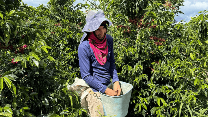 Colombia Los Guacharos - Rumble Coffee