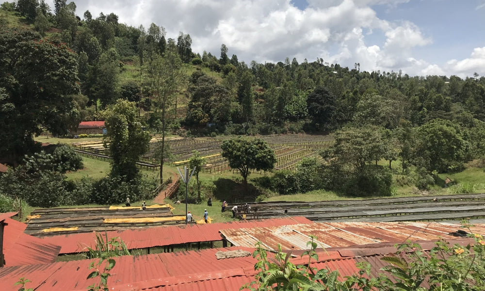Kenya Karimikui - Transparency Report