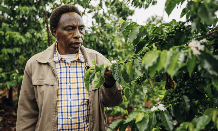 Kenya Ndocha - Rumble Coffee