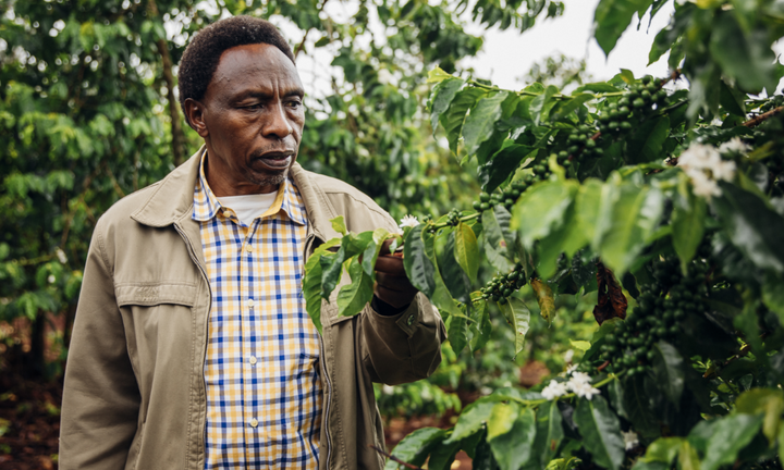 Kenya Ndocha