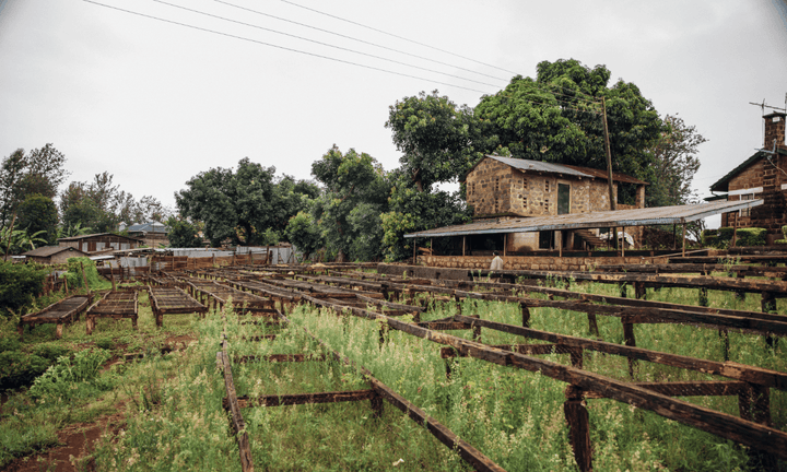 2024 Impact Report - Rumble Coffee
