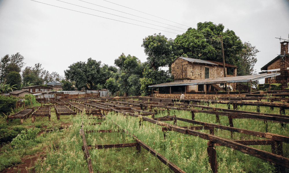 2024 Impact Report - Rumble Coffee