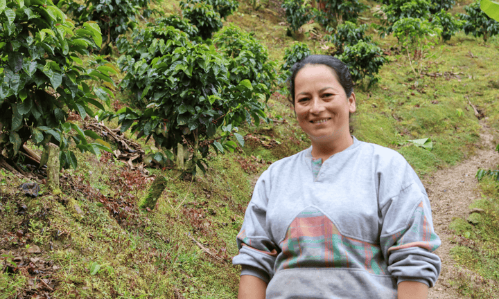 Colombia Luzmila Gonzales - Rumble Coffee