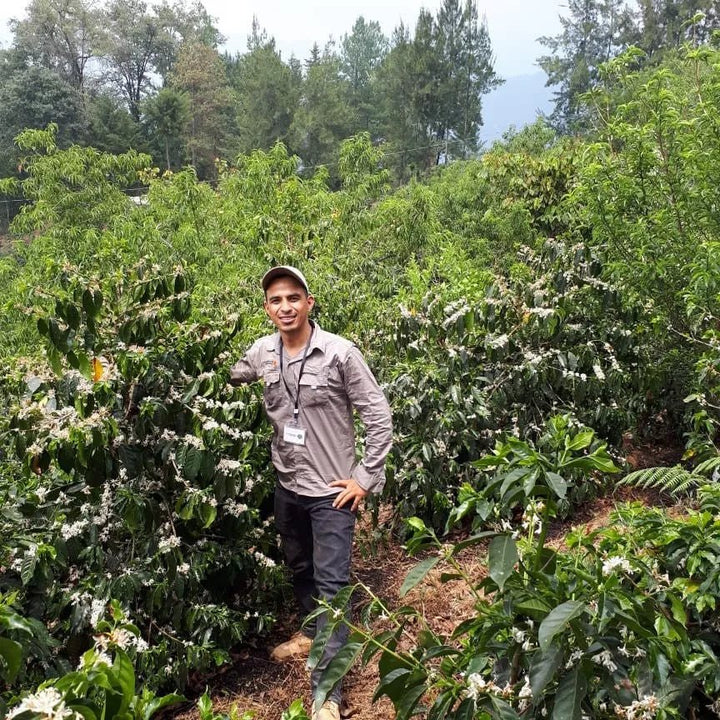 Introducing: Marlon Del Valle - Rumble Coffee