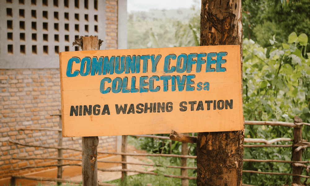 Burundi Ninga - Rumble Coffee