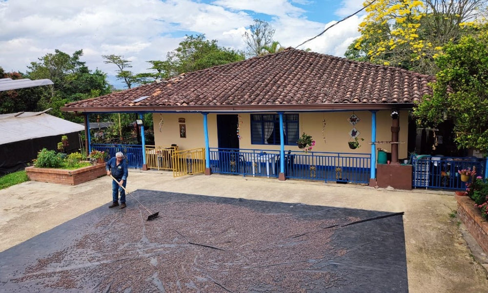 Colombia Paola Trujillo Wush Wush - Rumble Coffee